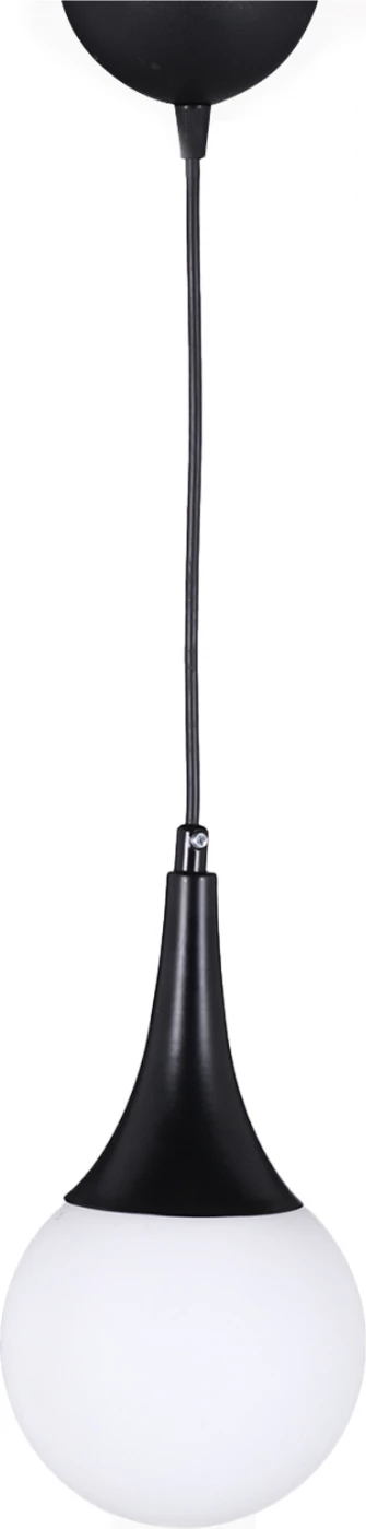 Kovinska stropna svetilka v črni barvi FH7517.01 12x91 cm