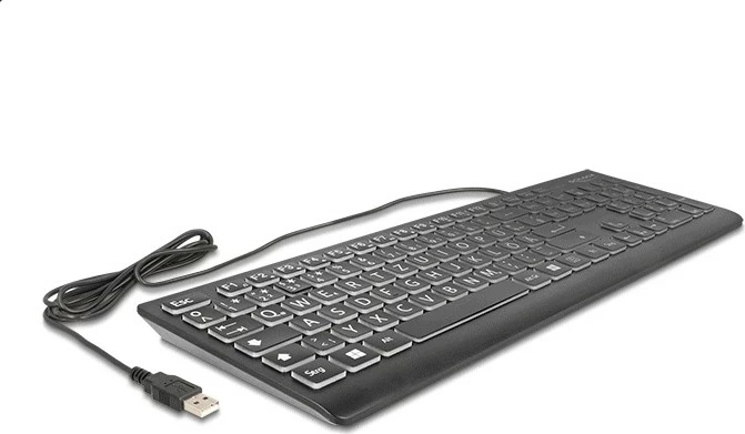 Mehanska tipkovnica DeLOCK 12170, USB, QWERTZ, RGB LED, črna
