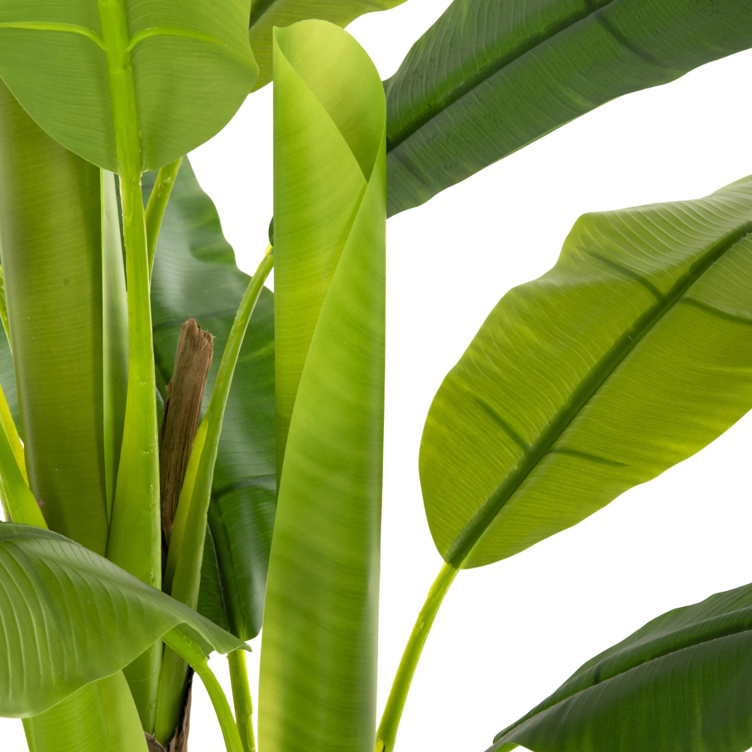 Dekorativna sintetična rastlina FH7968 bananovec v loncu 123H cm