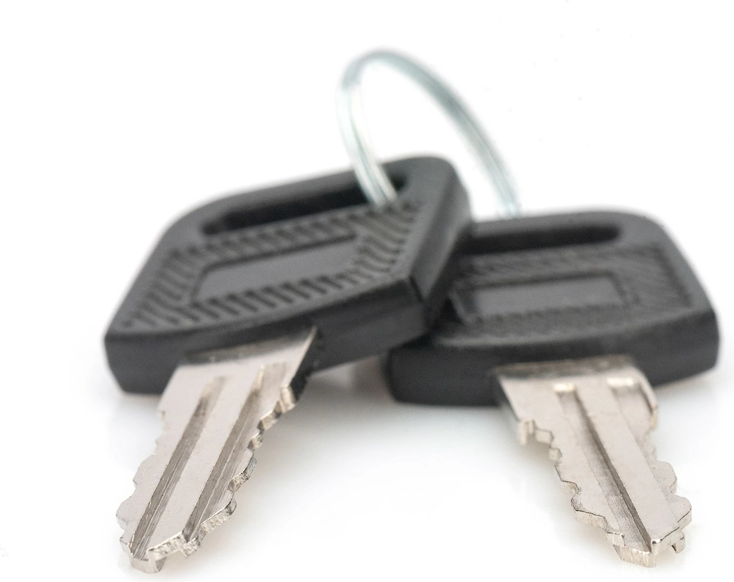 Ključi za omaro za omrežno opremo Digitus DN-KEY-WM, 2 kosa, črno/srebrno