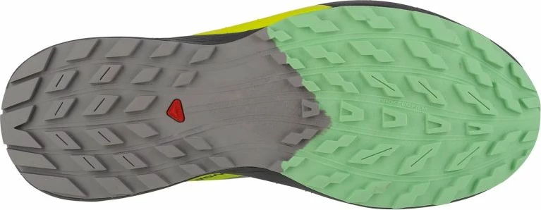 Superge za tek Salomon Sense Ride 5 M, siva