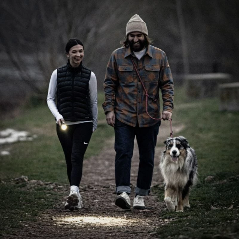 Ročna svetilka LED Ledlenser P7R, 80 h, IP68, črna