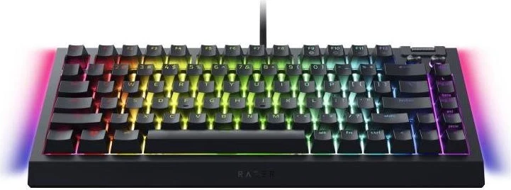 Mehanska tastatura z RGB osvetlitvijo, Razer BlackWidow V4, USB-Type C, črna
