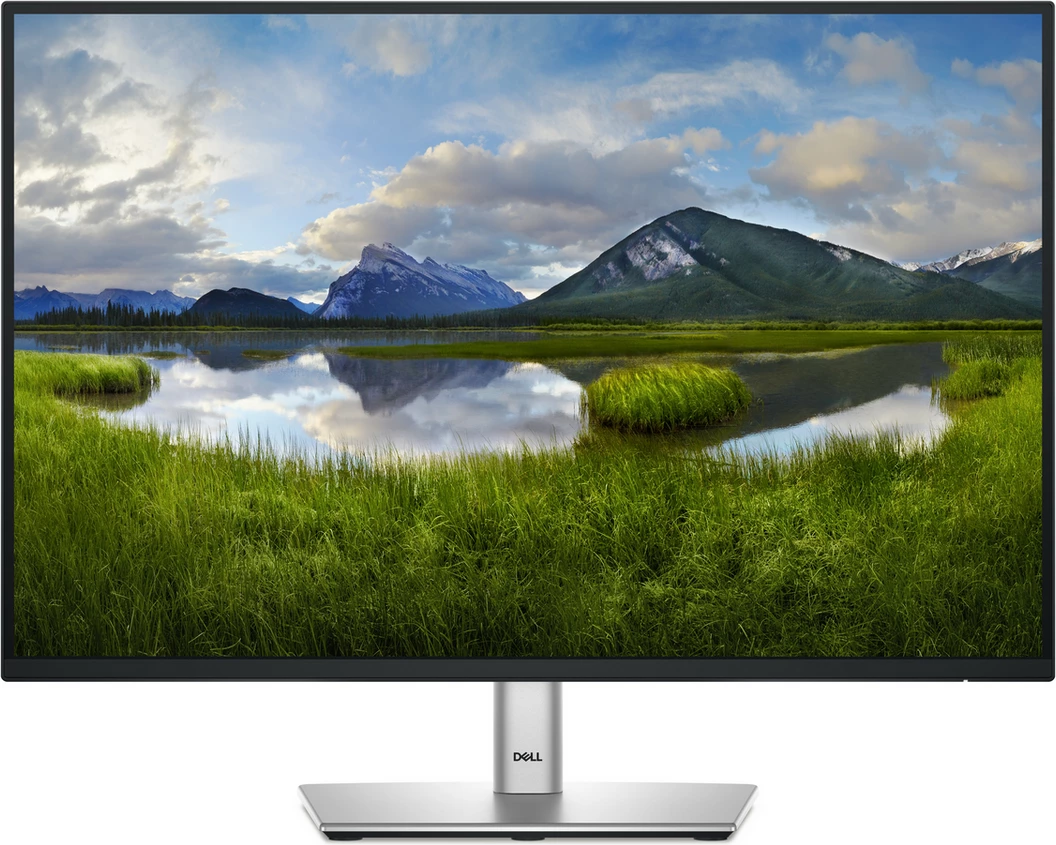 Monitor do 24" Dell P2425E 210-BMJF, črn