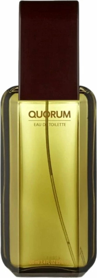 Eau de Toilette za moške Antonio Puig Quorum 100 ml