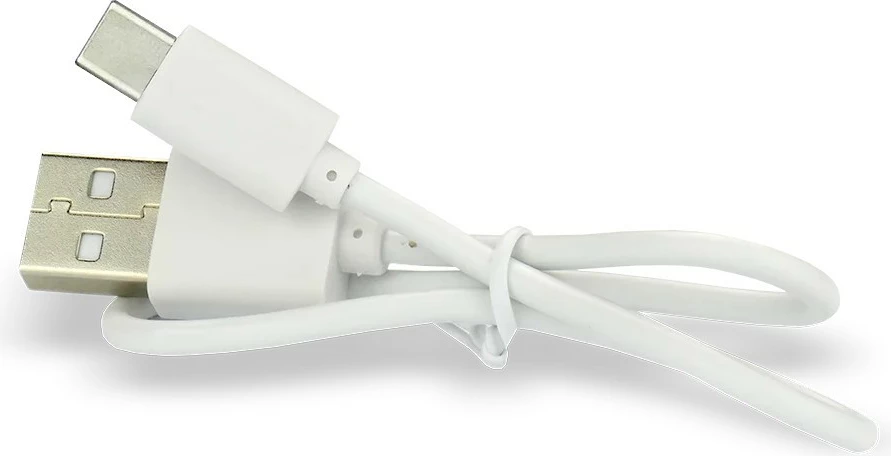 Polnilna baterija everActive 18500 Li-ion 3,7 V, 2100 mAh, USB-C, srebrna