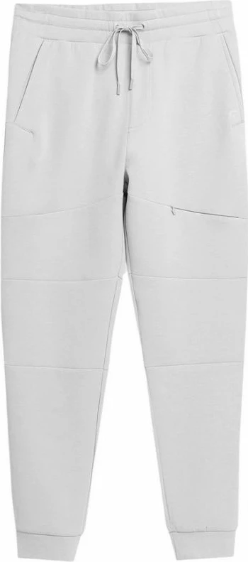 Hlače za moške 4F, siva