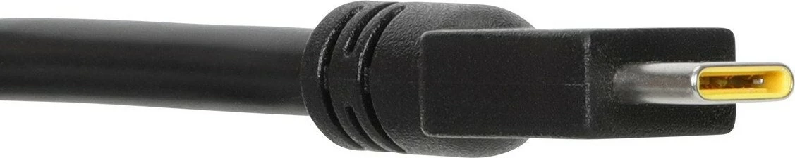 Polnilec USB-C 100W, 1,5 m, črn Targus