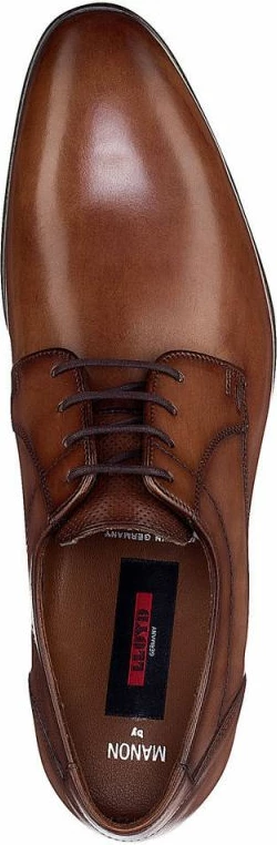 Elegantne moške čevlje Lloyd, rjavi