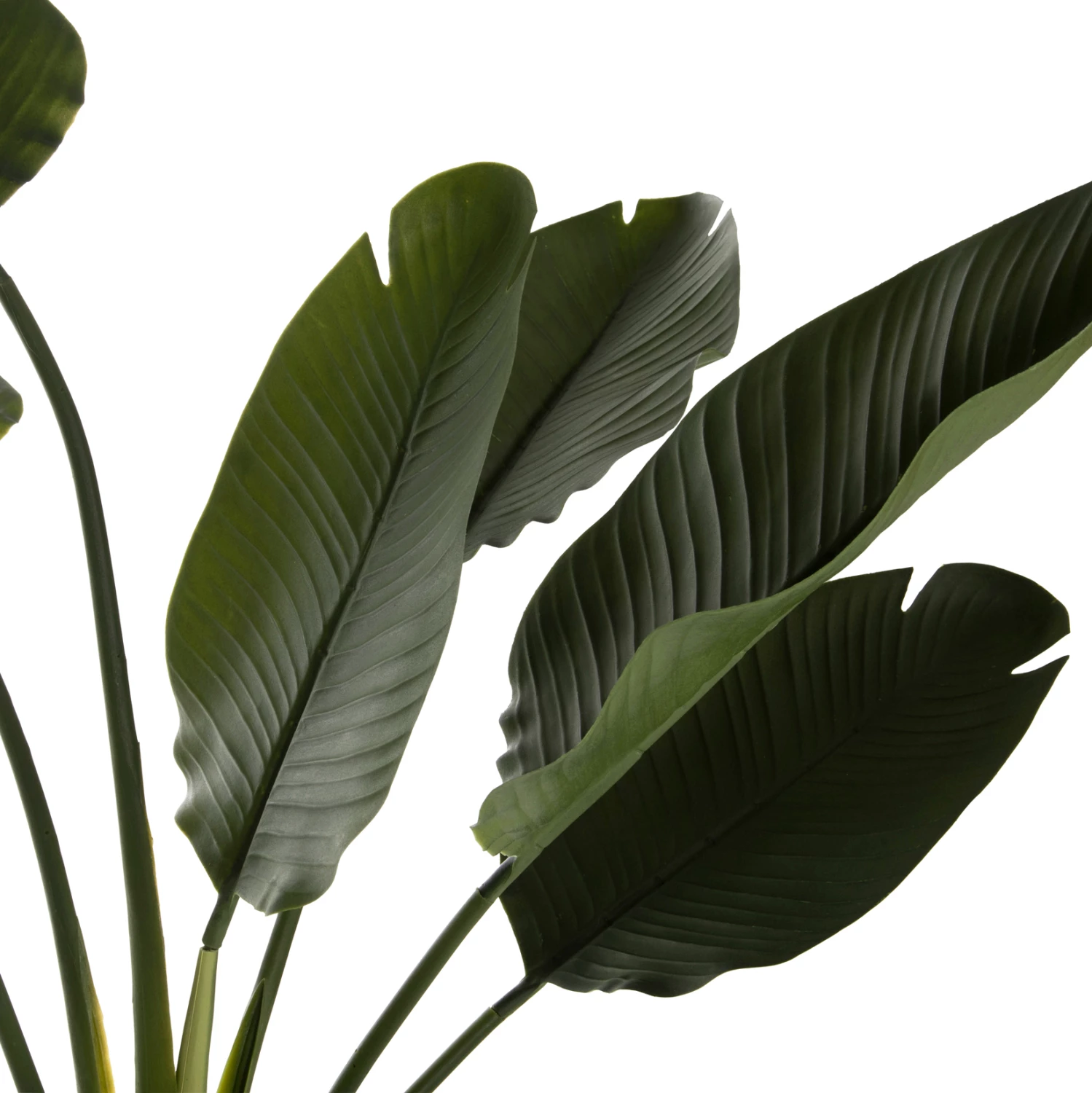 Dekorativna sintetična rastlina v loncu FH7981 Strelitziaceae Φ17x14,5-137Hcm