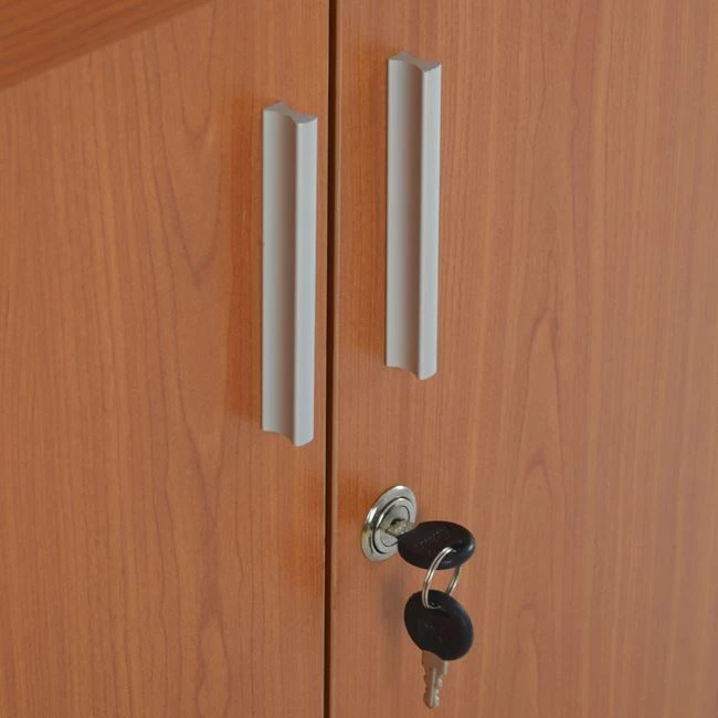 Profesionalna pisarniška omara v barvi češnje FH2050.13 60x46x75 cm