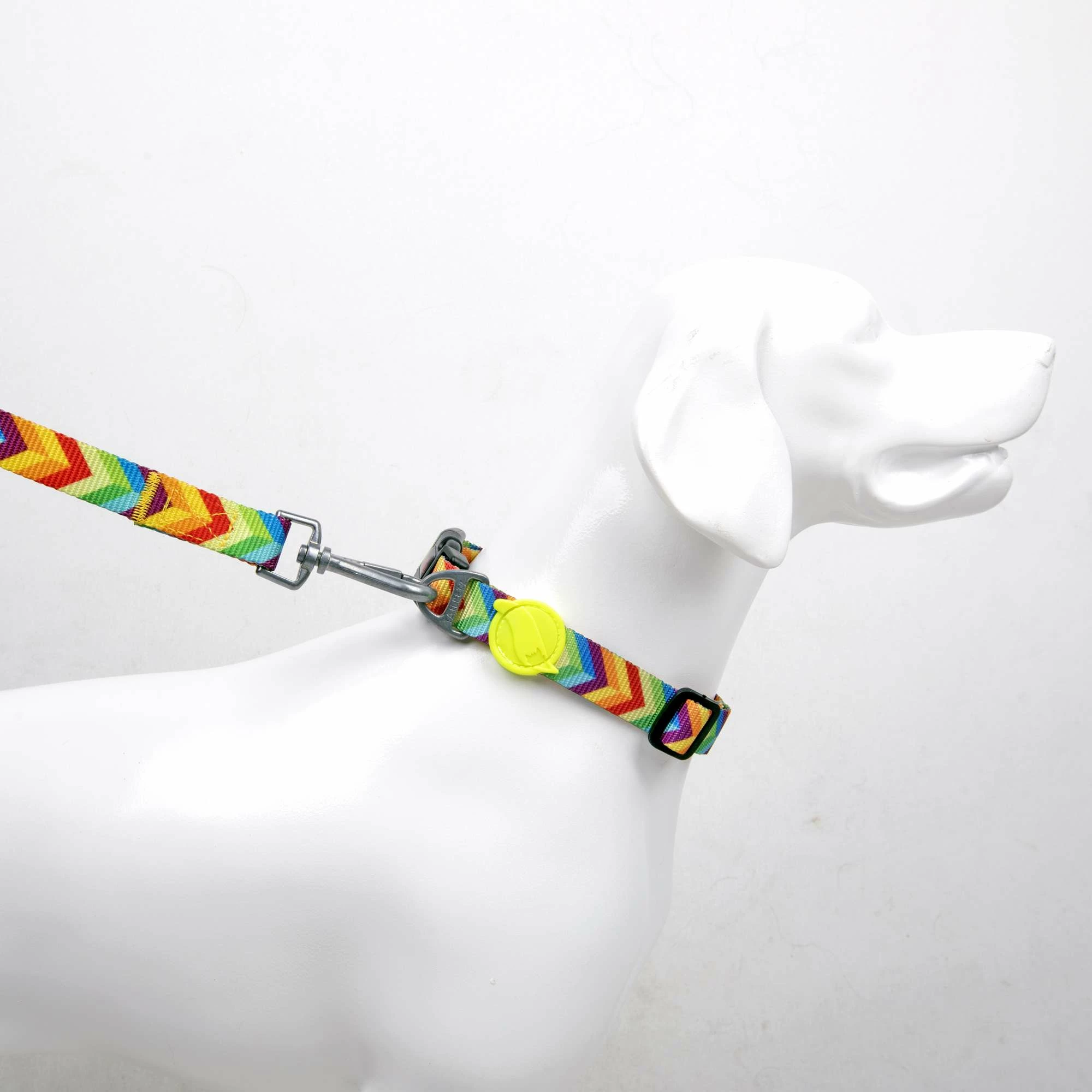 Ovratnica za psa, večbarvna, Paws & Whiskers Rainbow