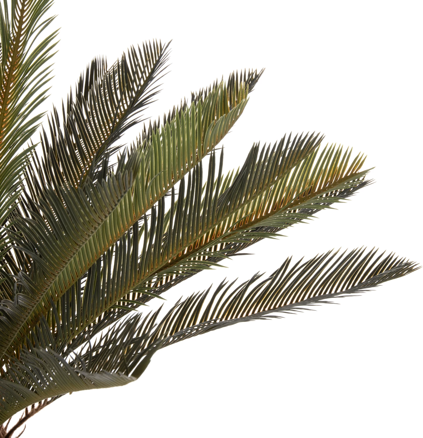 Dekorativna sintetična rastlina FH7983 palma z bodičastimi listi v loncu 94H cm