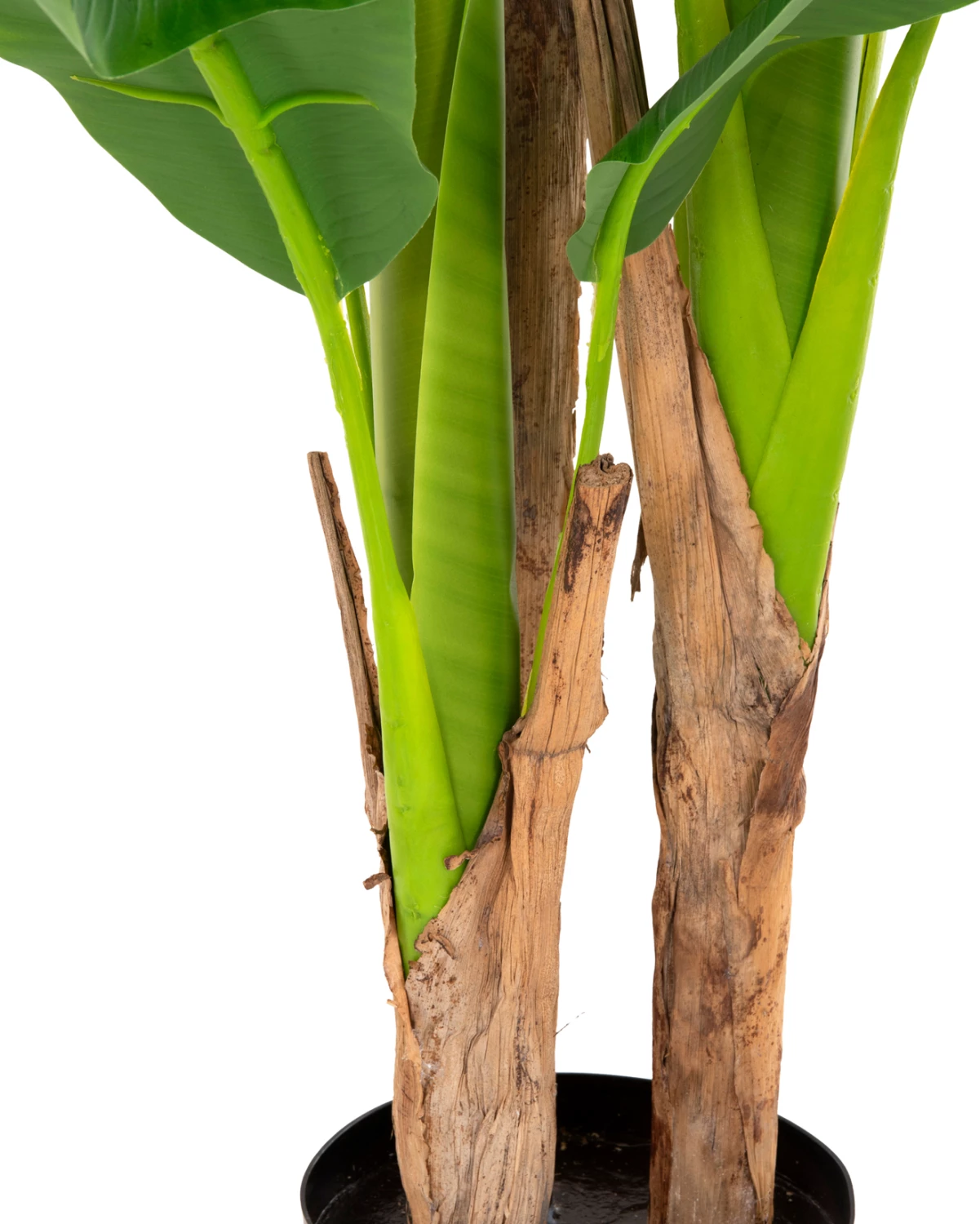 Dekorativna sintetična rastlina FH7968 bananovec v loncu 123H cm