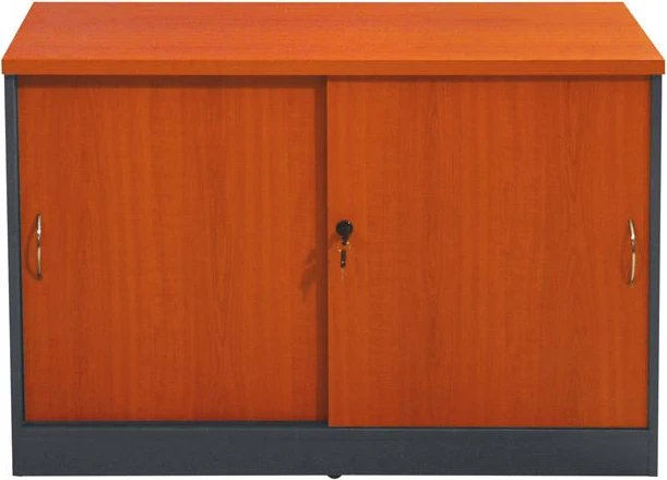 Profesionalna pisarniška omara FH2012.03 v barvi češnje 100Χ45Χ69cm