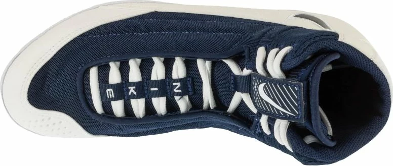 Superge za moške, bele in modre, Nike