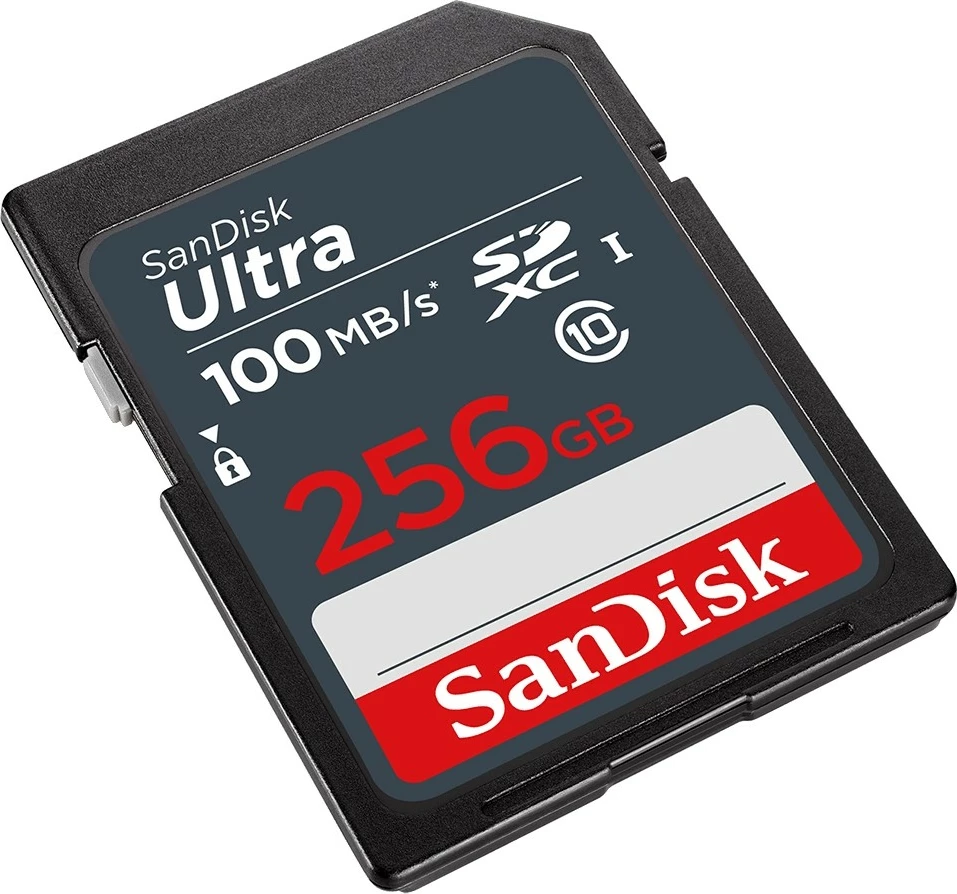 SD kartica Sandisk Ultra 256GB, 100MB/s