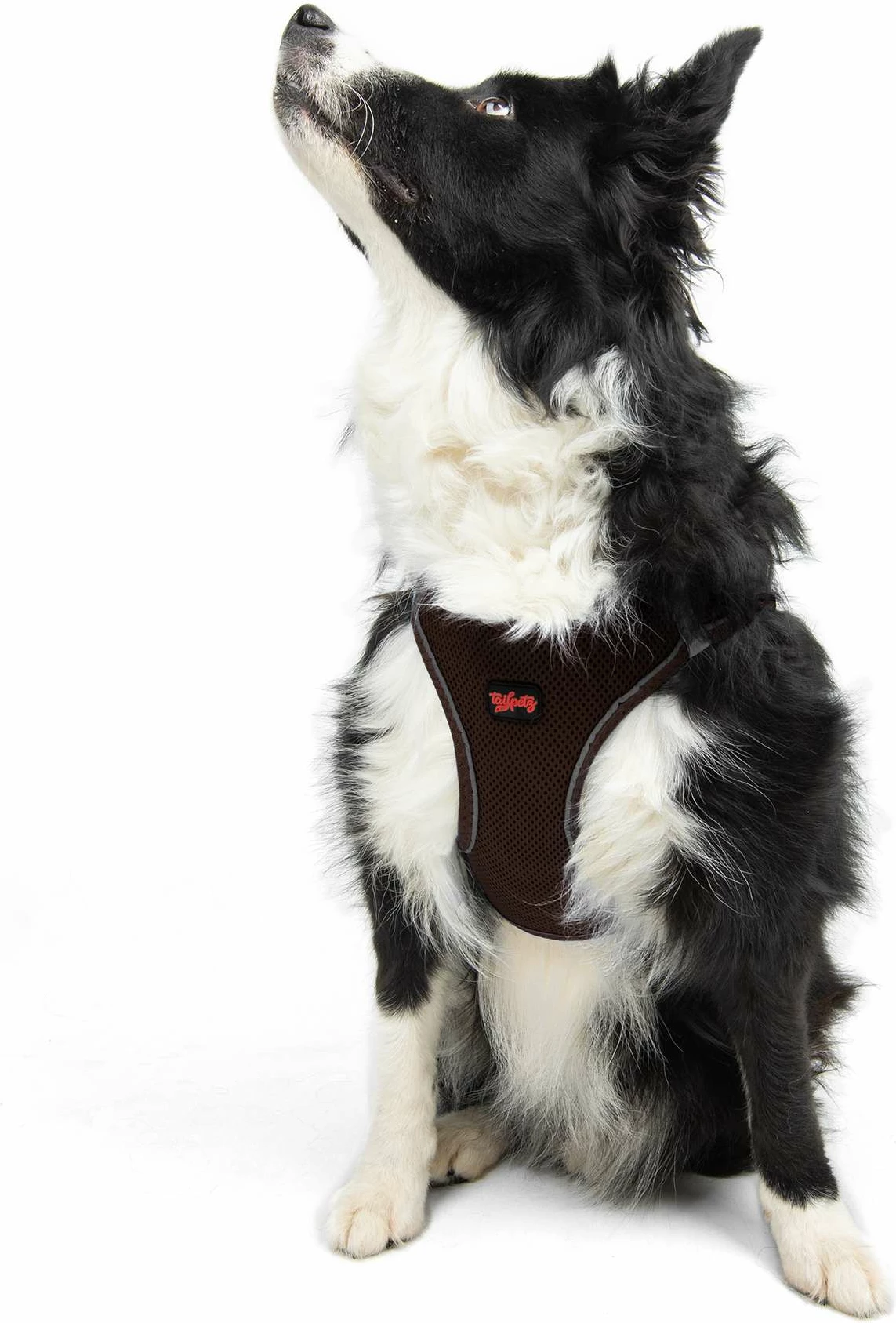 Oprsnica iz air-mesh materiala, rjava, Paws & Whiskers