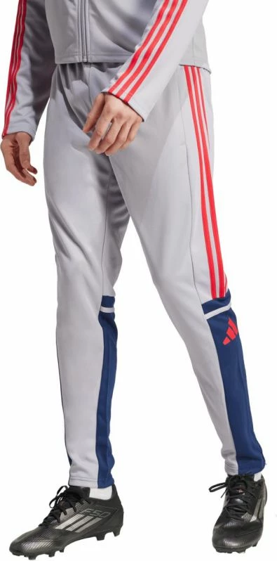 Športne hlače za moške adidas, sive