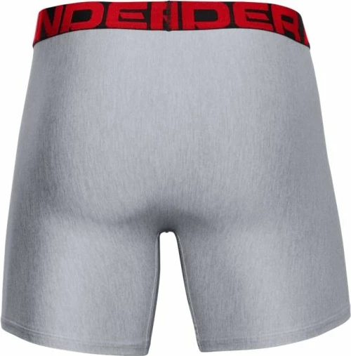 Spodnje perilo za moške Under Armour, sivo