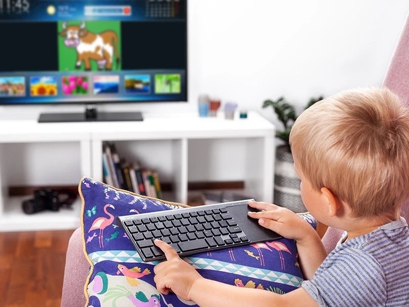 Tastatura s touchpadom Tracer EXpert, 2,4 GHz, črno/siva