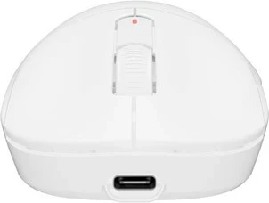 Brezžična ergonomska miška Fury Tanto T4, 12.000 dpi, 7 gumbov, bela