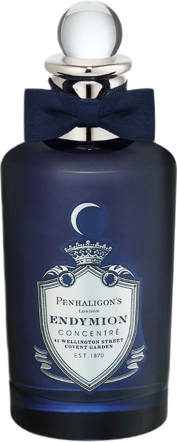 Eau de Parfum, moški Penhaligon's Endymion 100 ml
