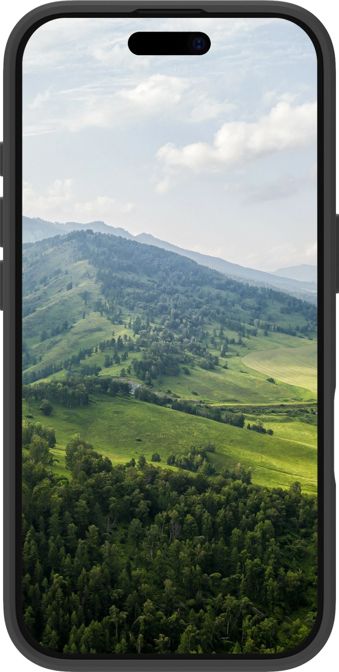 Ovitek za telefon dbramante1928 Greenland za iPhone 16 Pro Max, črn