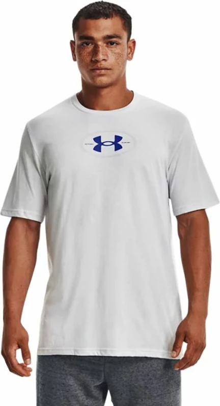 Majica za moške, siva Under Armour, model 1371264 014