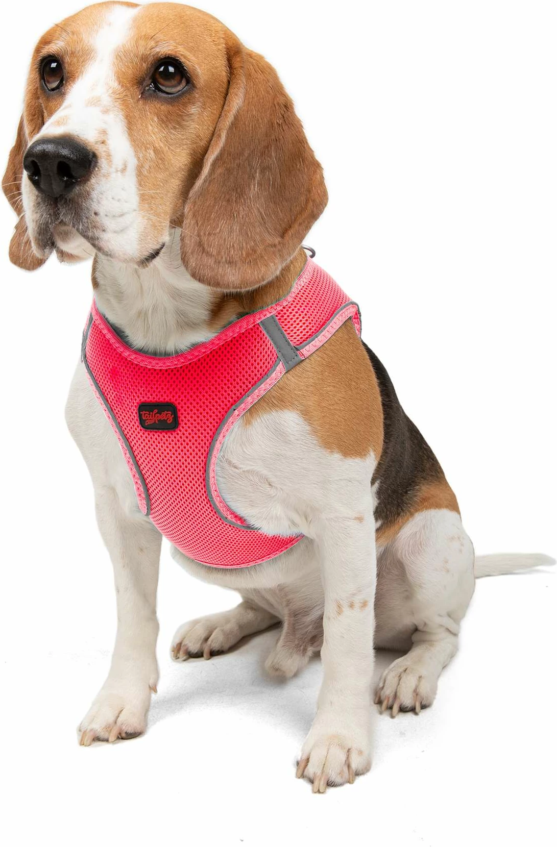 Oprsnica za psa, Air-Mesh, Neo Pink, Paws & Whiskers