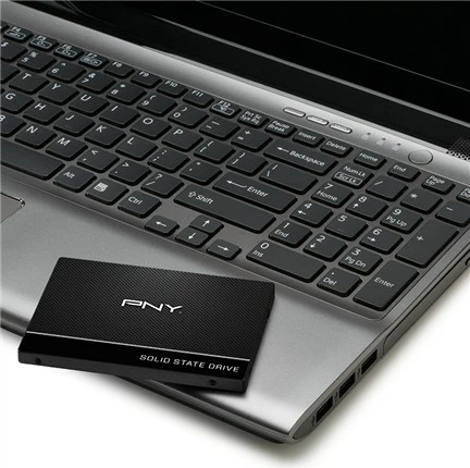 SSD disk 250GB, 2,5 palca, SATA-III PNY CS900