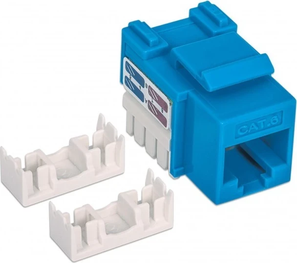 Modul Keystone, Intellinet, moder