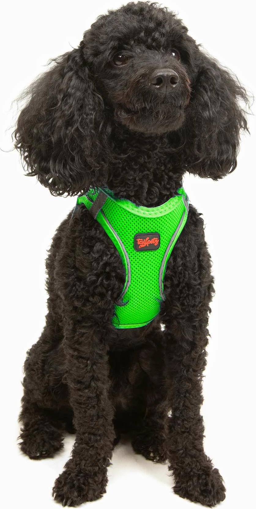 Oprsnica za psa Air-Mesh, Neo Green, Paws & Whiskers