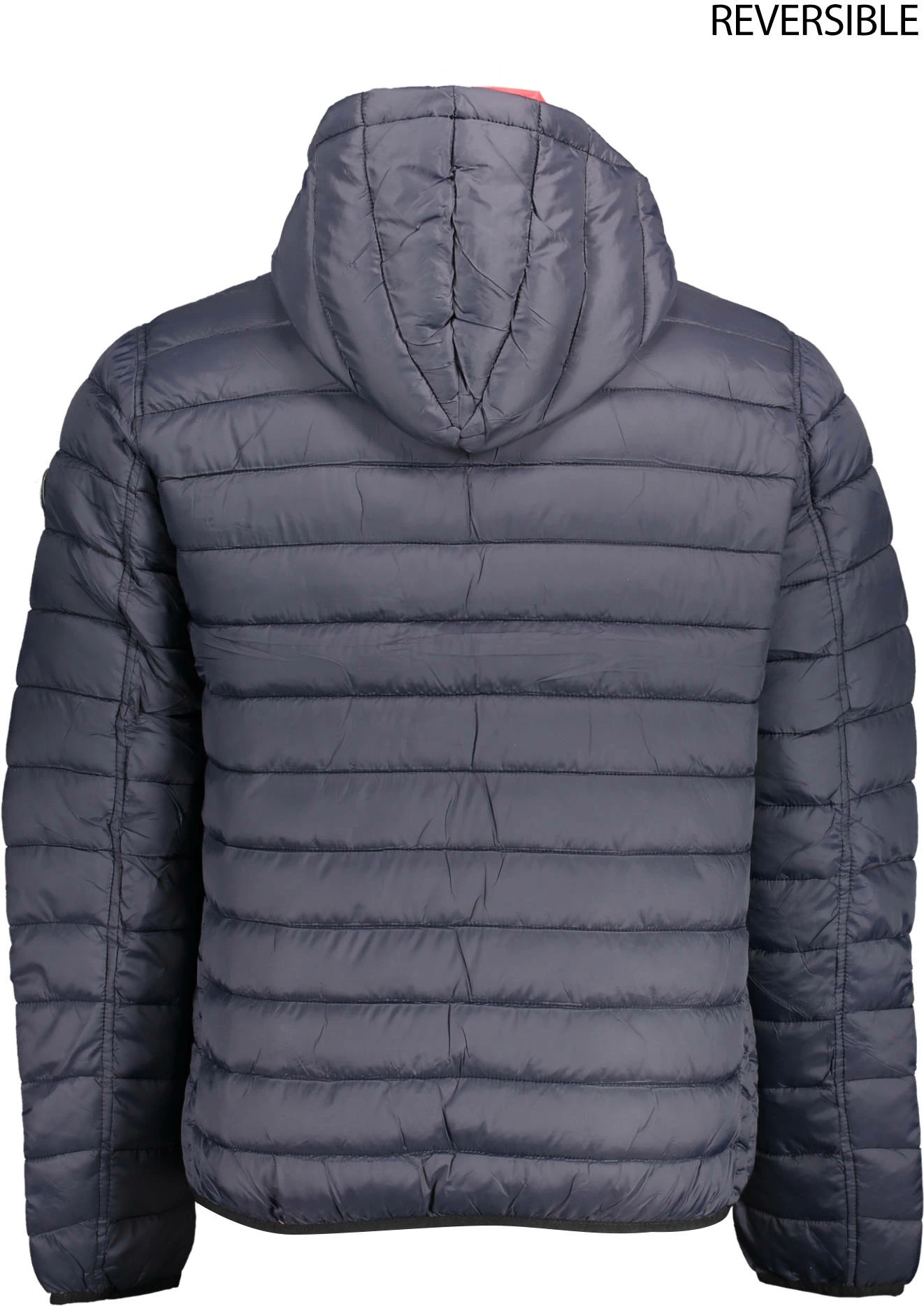 Moška jakna U.S. POLO, modro-rdeča