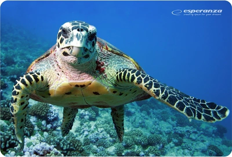 Podloga za miško Esperanza EA133