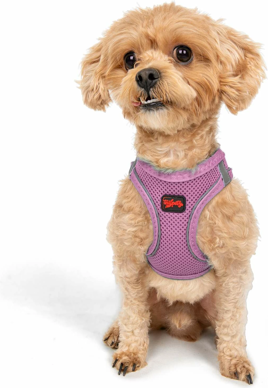 Oprsnik za psa, lilasto, Air-Mesh - Paws & Whiskers