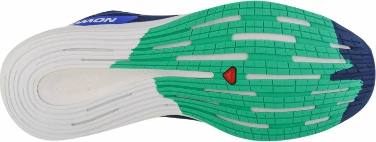 Superge za tekače Salomon Spectur M, modre