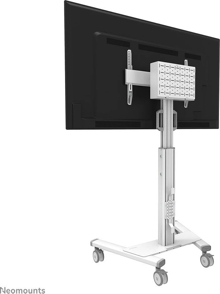 Prenosni voziček za TV, Neomounts Newstar FL50S-825WH1, za zaslone 37–75 inčev, nastavljiva višina, bela