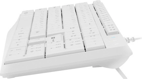 Kompaktna tastatura Nautilus Slim, Natec, bela