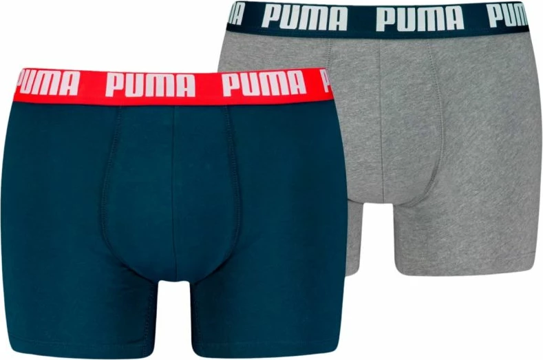 Spodnje perilo za moške Puma, modre