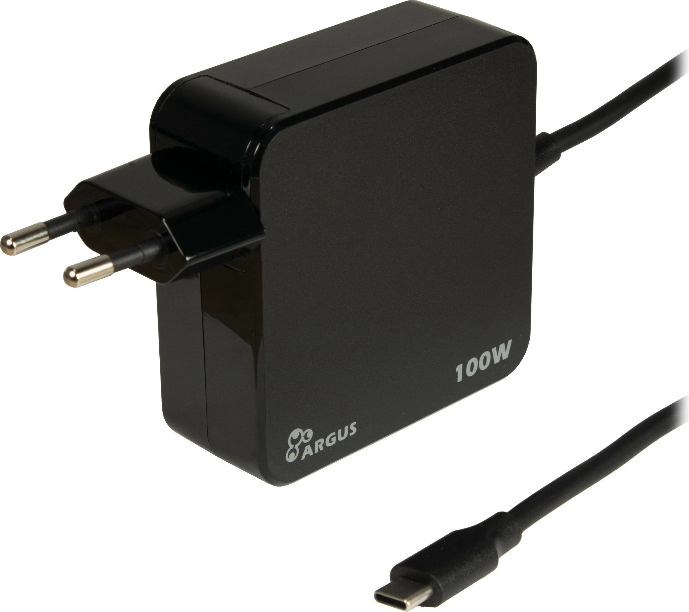 Hitri USB-C polnilec Inter-Tech PD-2100, 100 W, črn