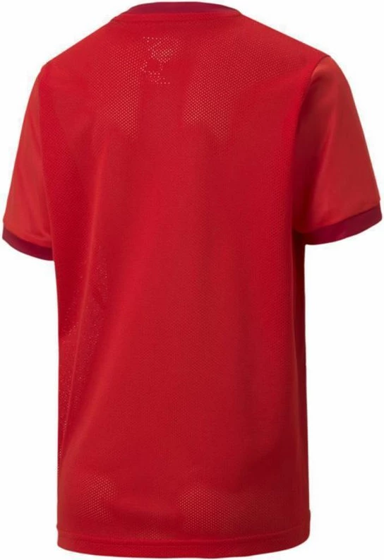 Otroška majica teamGOAL 23, rdeča, Puma
