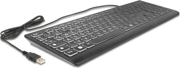 Mehanska tipkovnica DeLOCK 12170, USB, QWERTZ, RGB LED, črna