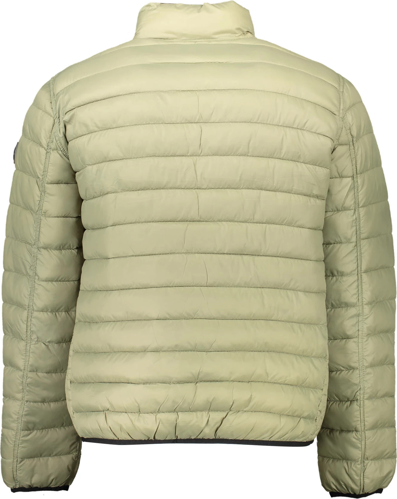 Jakna US Polo, moški, zelena