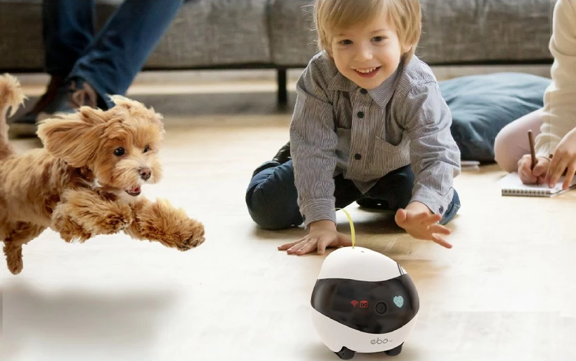 Robot za hišne ljubljenčke Enabot EBO Air, kamera 1080p, sledenje z AI, LiDAR, upravljanje z aplikacijo, bel