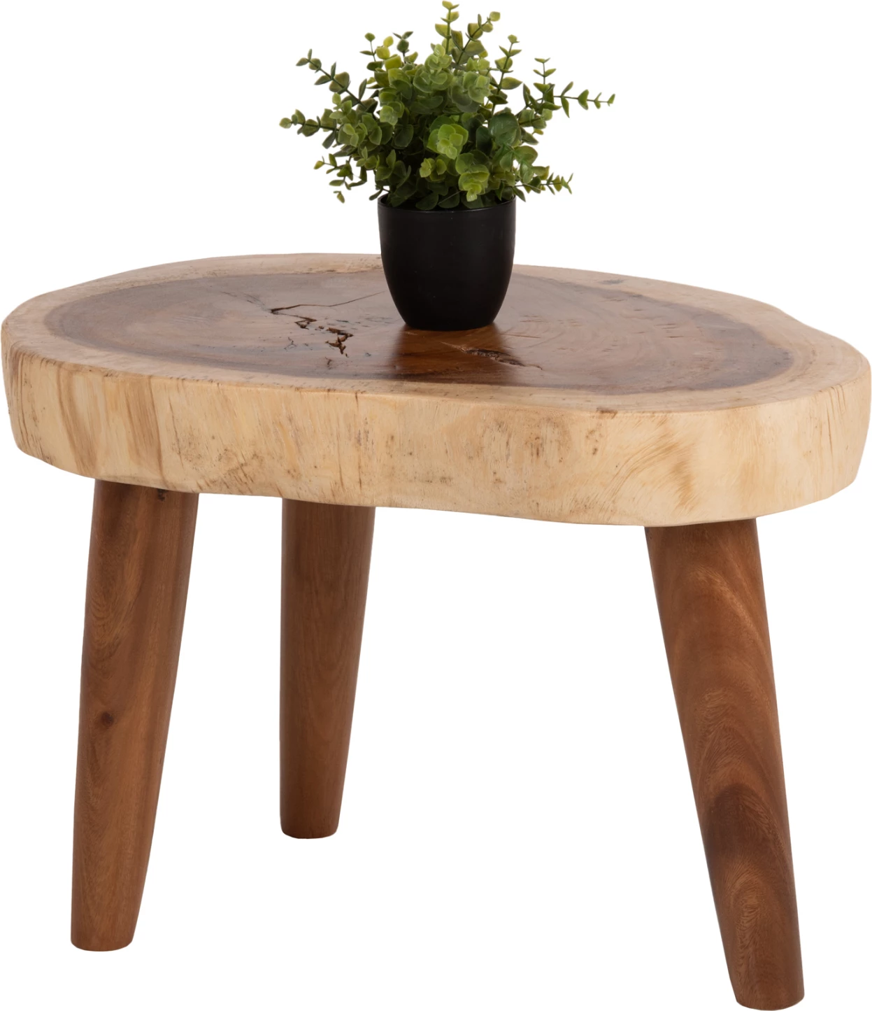 Klubska miza DOMPU FH9630 iz masivnega lesa suar 8 cm debela mizna plošča 66x44x46H cm