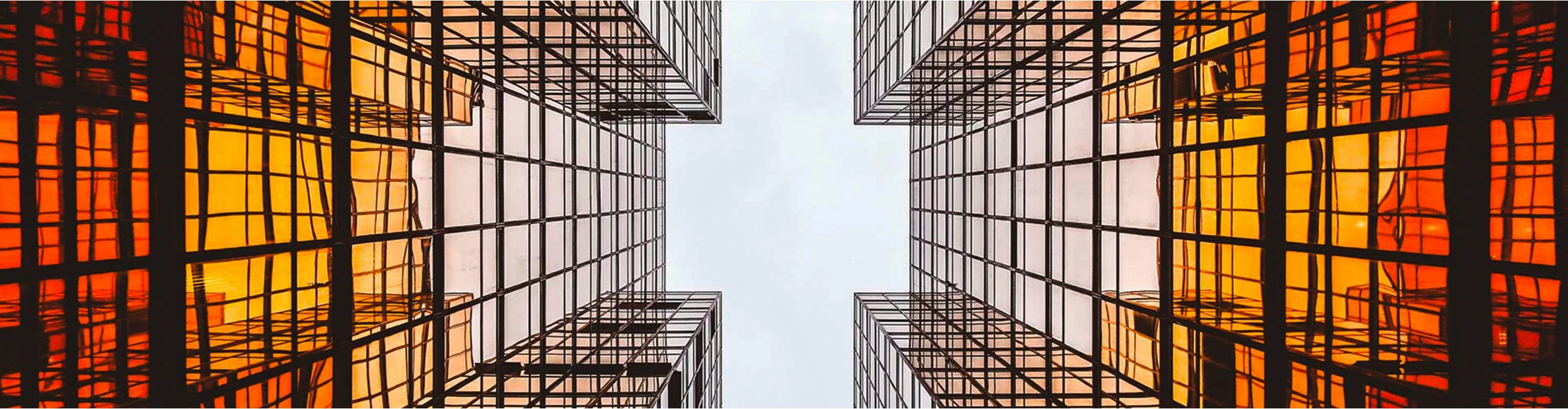 24-palčni IPS monitor, AOC X24P1GR, FHD 16:10, siv