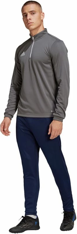 Duks za moške adidas Entrada 22, siv