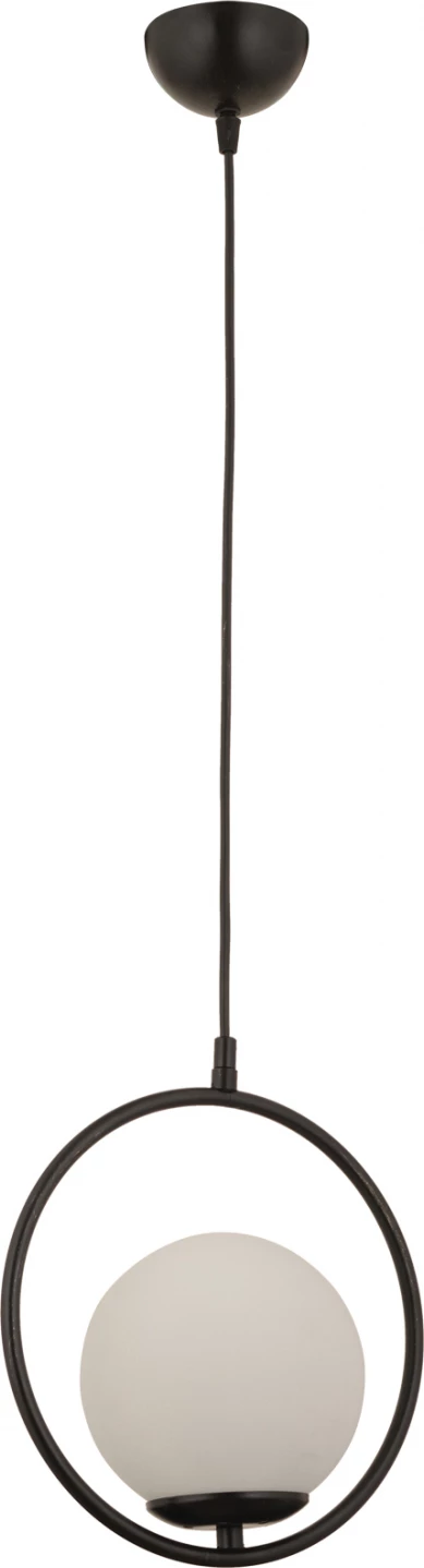 Kovinska stropna svetilka črne barve FH7418.01 25x74 cm