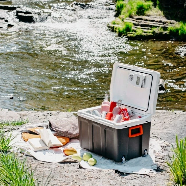 Prenosni hladilnik 40 L, Adler AD 8090, črno/bel